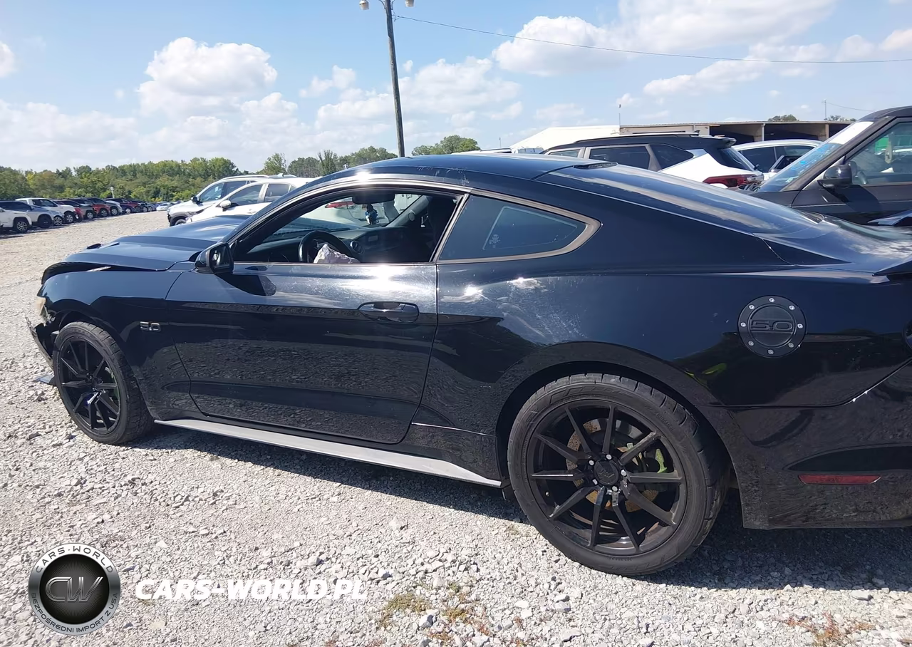 2015 Ford Mustang Gt-Gt Premium VIN:1FA6P8CF8F5399259 - 15
