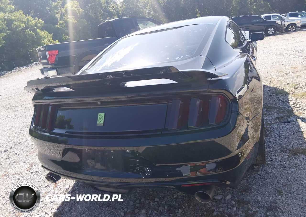 2015 Ford Mustang Gt-Gt Premium VIN:1FA6P8CF8F5399259 - 17