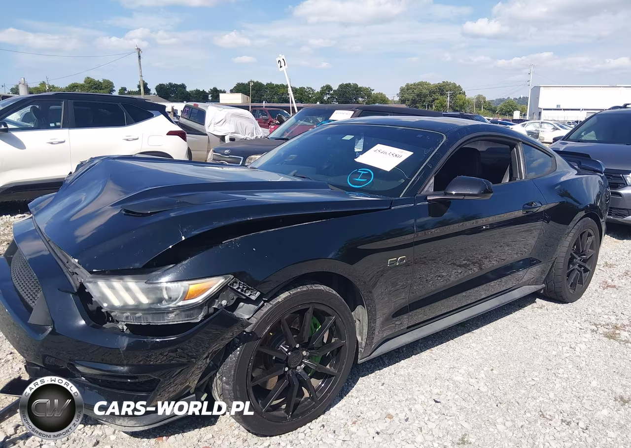 2015 Ford Mustang Gt-Gt Premium VIN:1FA6P8CF8F5399259 - 2
