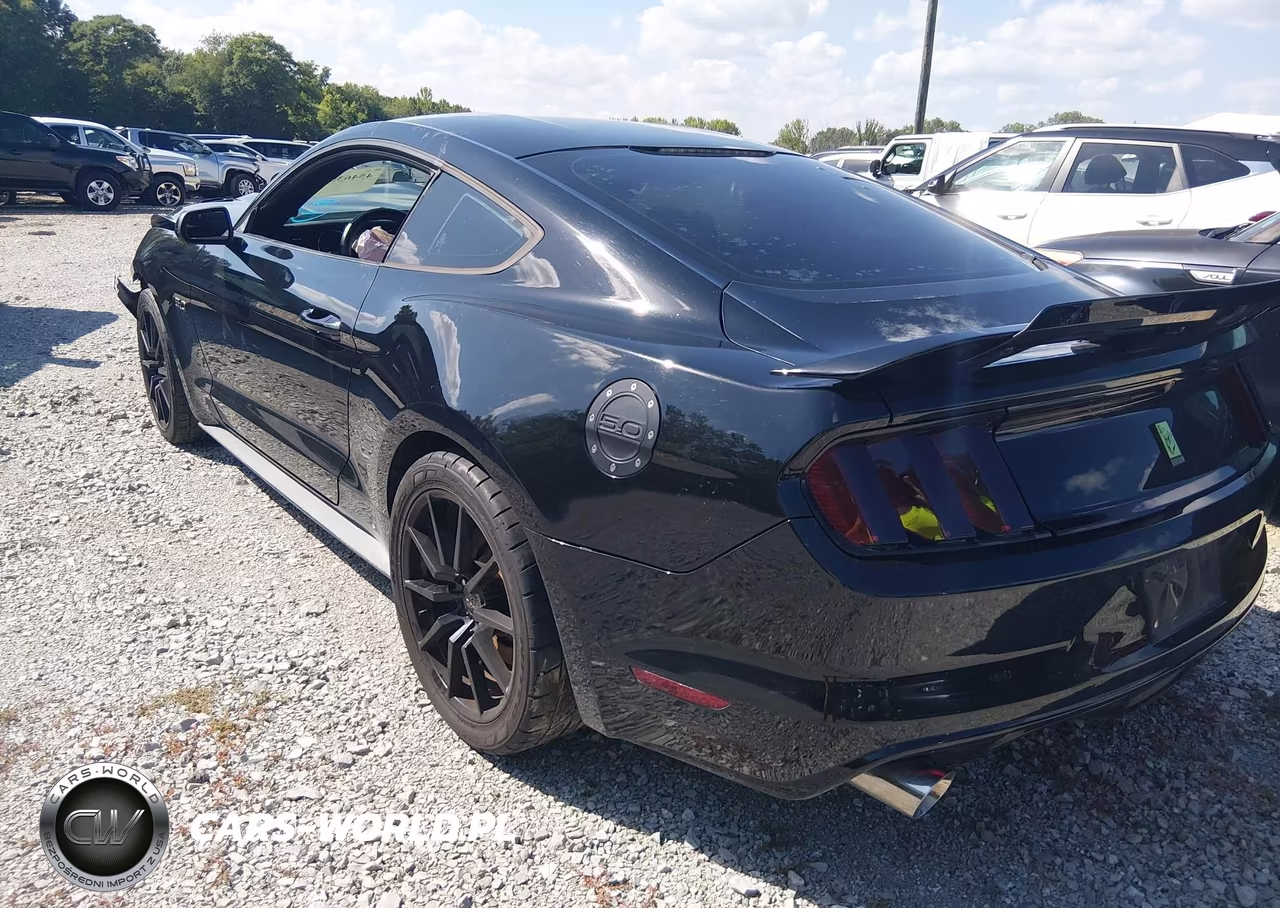 2015 Ford Mustang Gt-Gt Premium VIN:1FA6P8CF8F5399259 - 3