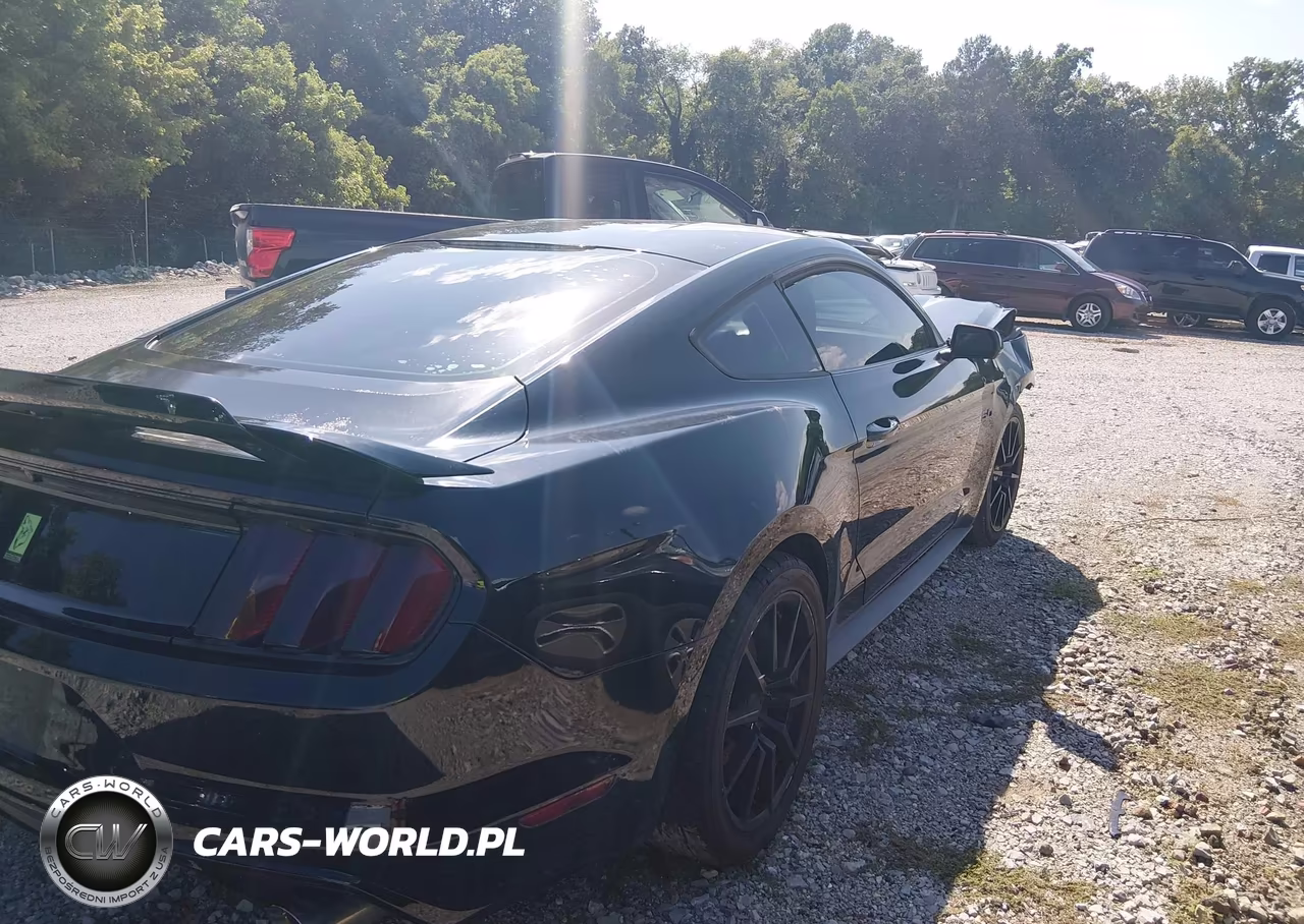 2015 Ford Mustang Gt-Gt Premium VIN:1FA6P8CF8F5399259 - 4