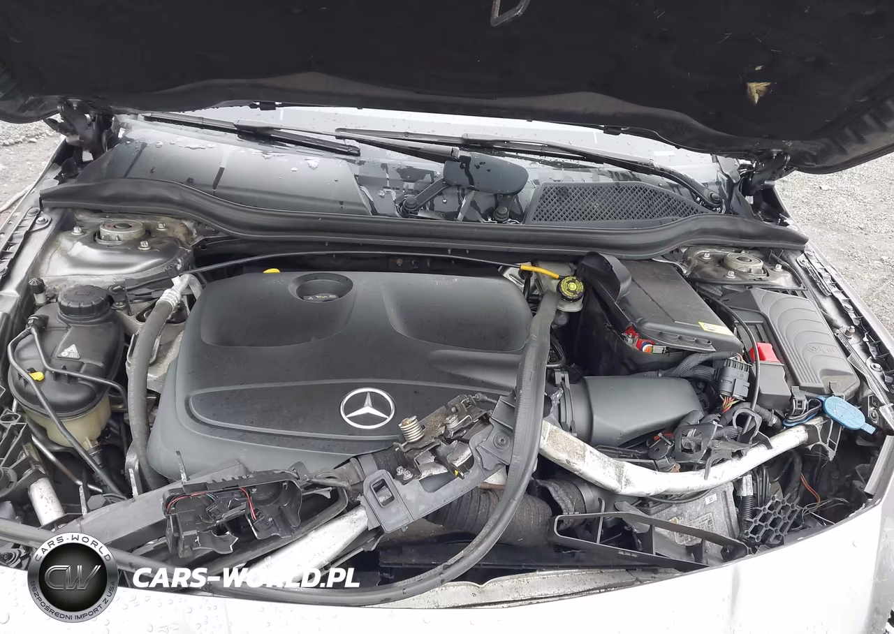 2014 Mercedes-Benz Cla 250 VIN:WDDSJ4EB4EN058751 - 10