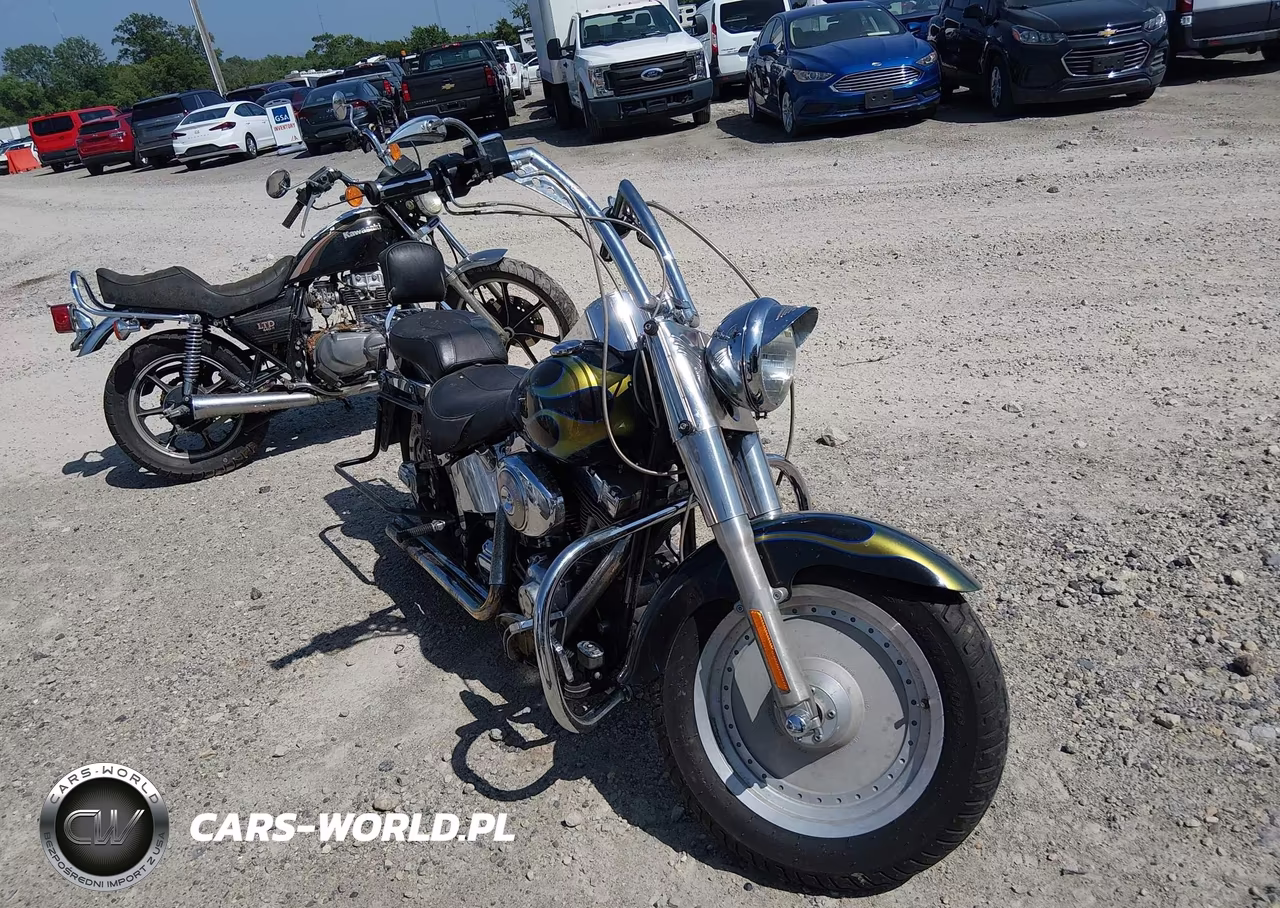 2001 Harley-Davidson Flstfi