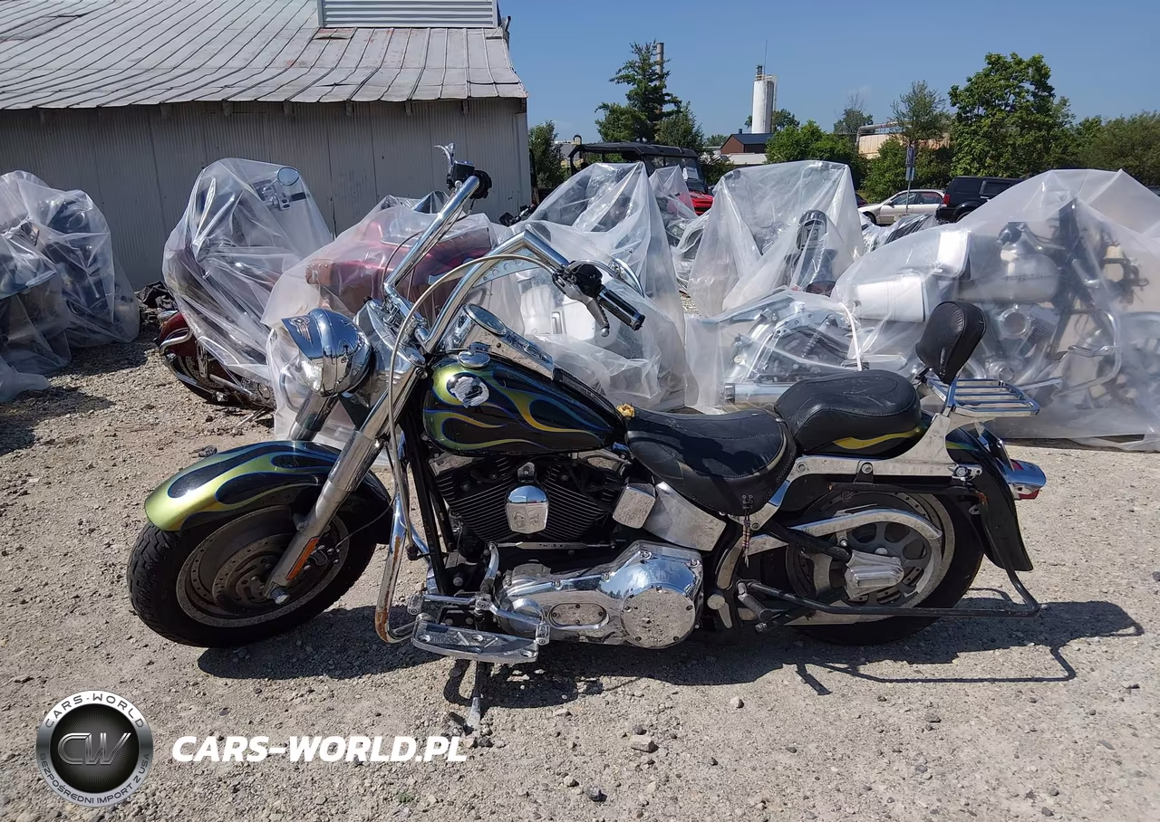 2001 Harley-Davidson Flstfi VIN:1HD1BXB101Y016262 - 12