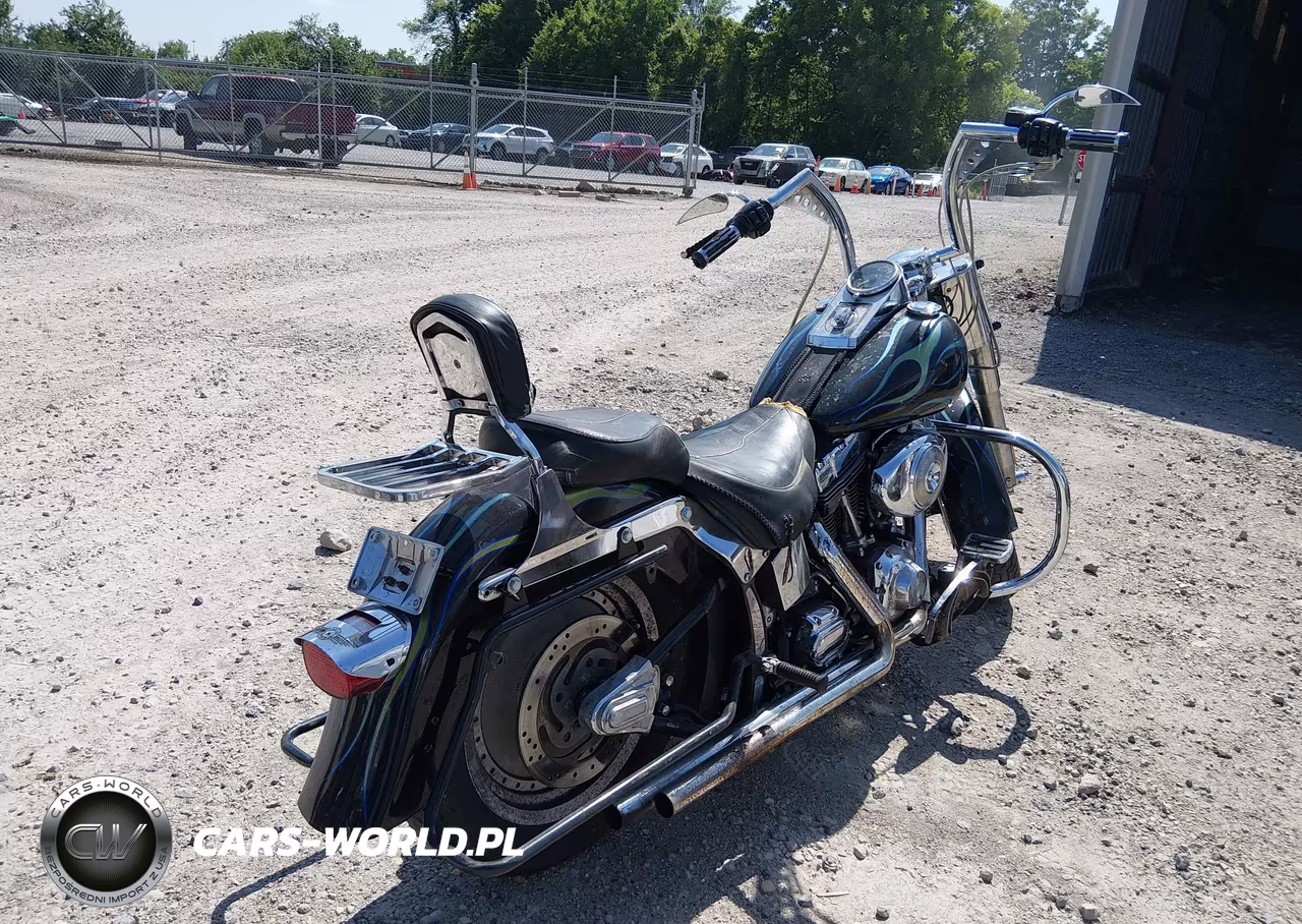 2001 Harley-Davidson Flstfi VIN:1HD1BXB101Y016262 - 4