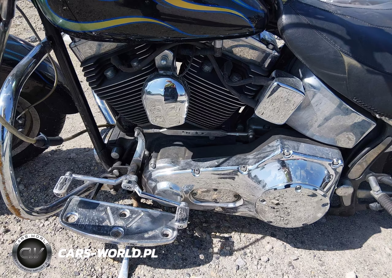 2001 Harley-Davidson Flstfi VIN:1HD1BXB101Y016262 - 9