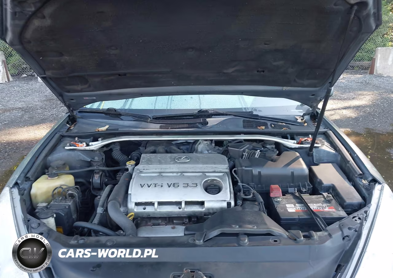 2006 Lexus Es 330 VIN:JTHBA30G565157411 - 10