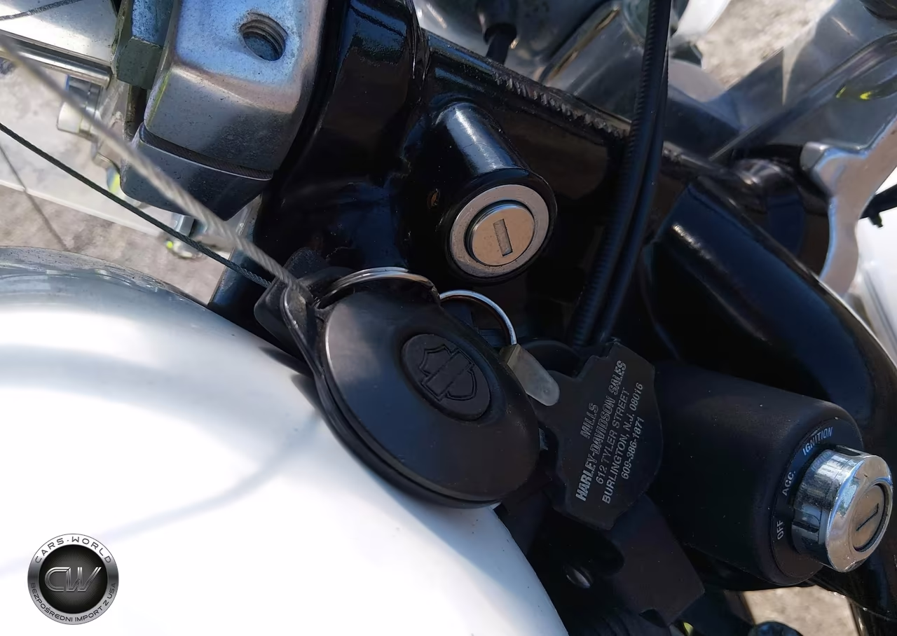 2006 Harley-Davidson Xl1200 C VIN:1HD1CGP136K439871 - 11