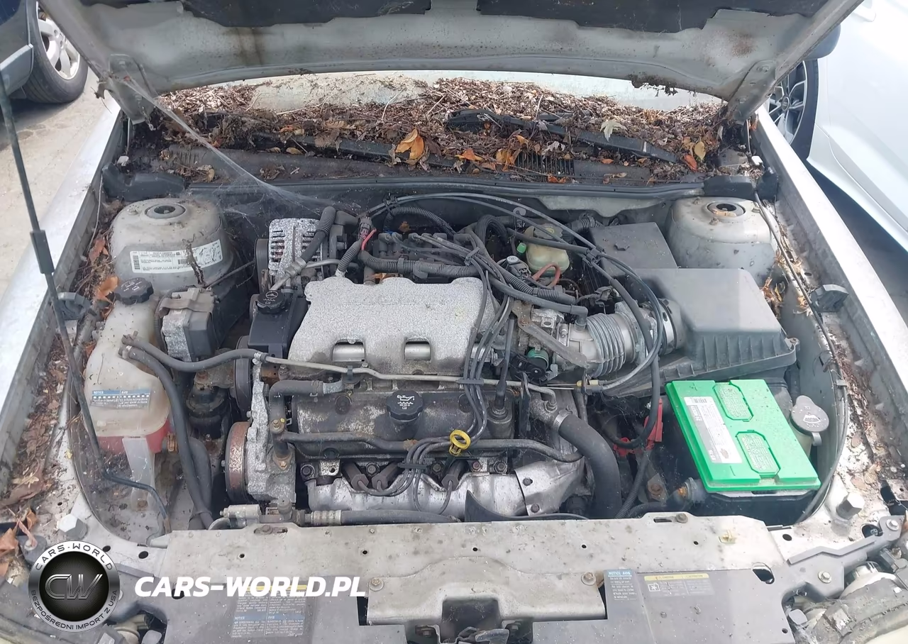 2003 Chevrolet Malibu VIN:1G1ND52J93M655888 - 10
