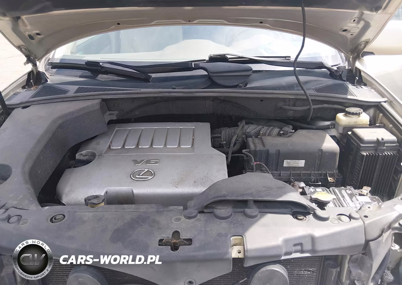 2007 Lexus Rx 350 VIN:2T2HK31U97C018489 - 10