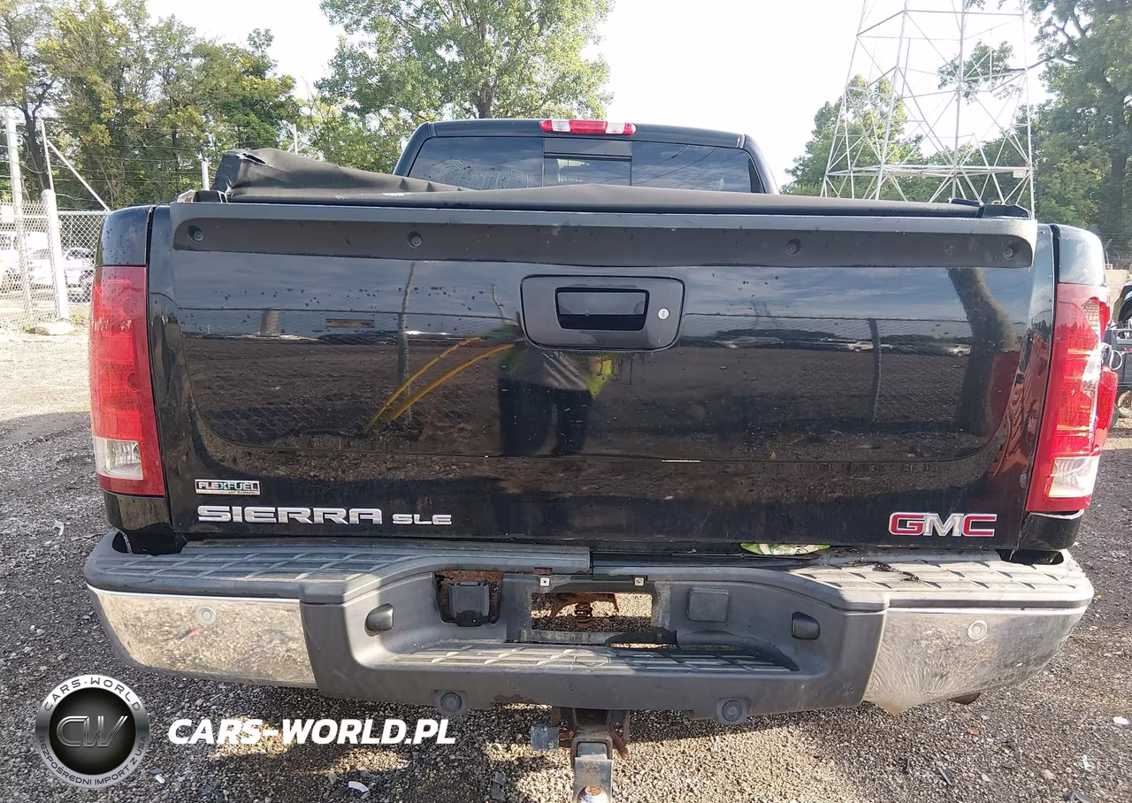 2010 GMC Sierra 1500 Sle VIN:1GTSKVE34AZ180969 - 16