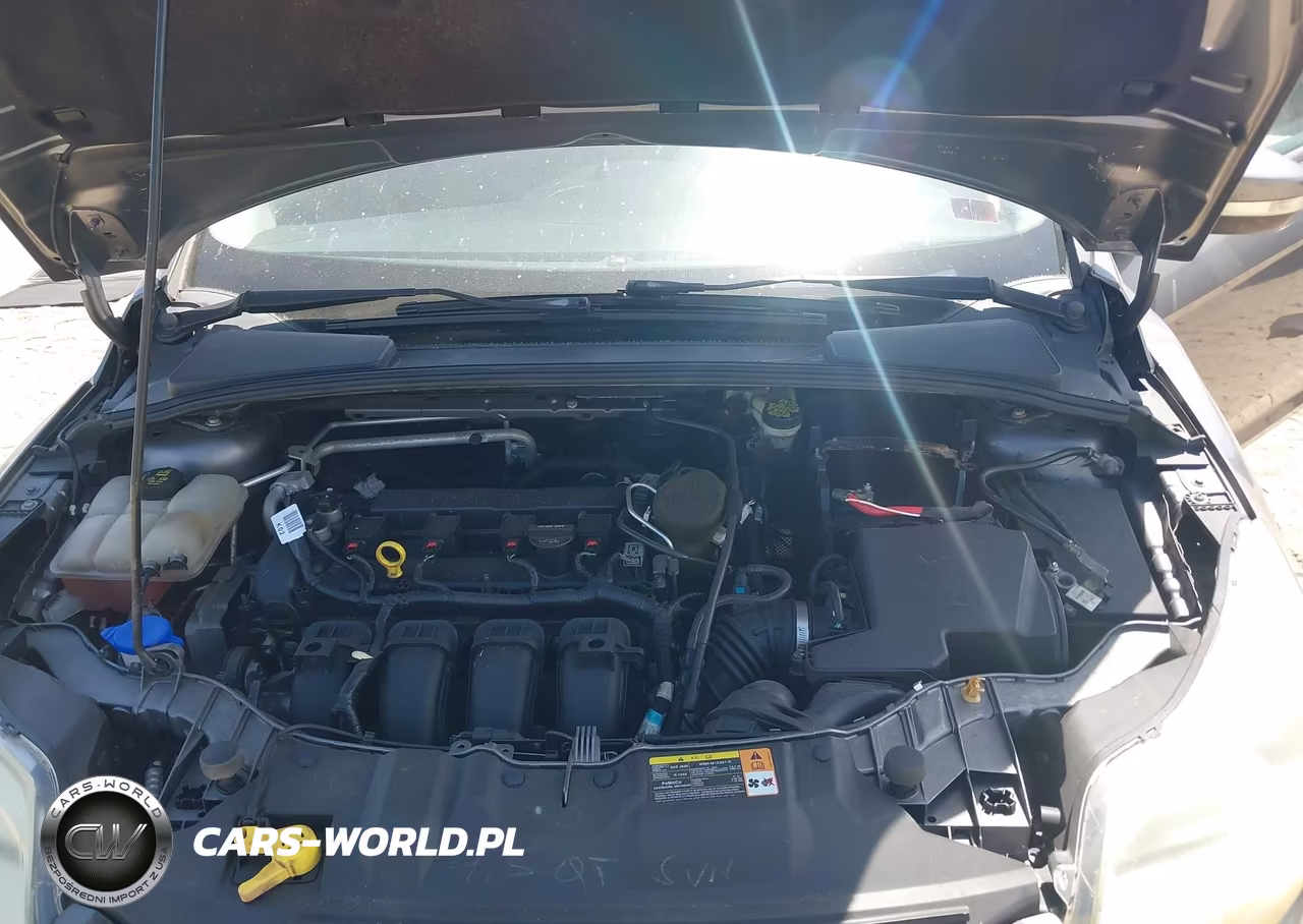 2014 Ford Focus Se VIN:1FADP3K23EL151133 - 10