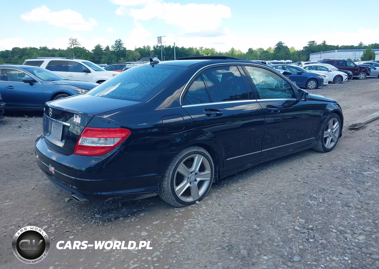 2010 Mercedes-Benz C 300 Luxury-Sport VIN:WDDGF5EBXAR096887 - 4