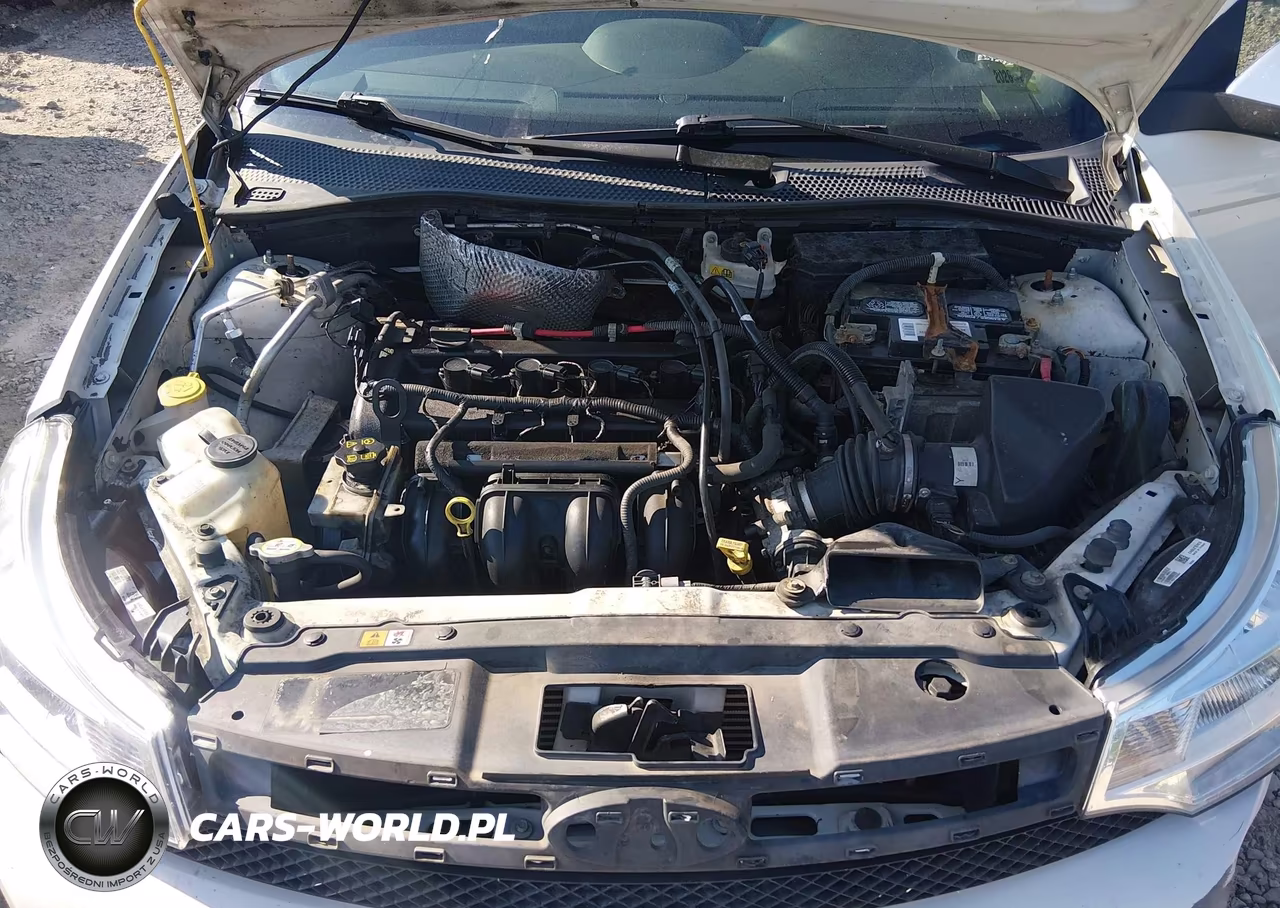 2010 Ford Focus Sel VIN:1FAHP3HN1AW264655 - 10
