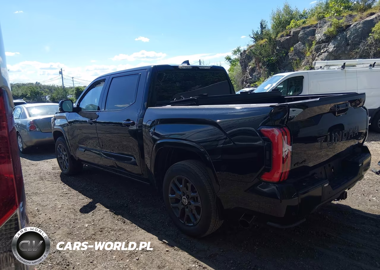 2024 Toyota Tundra Platinum VIN:5TFNA5DB5RX221237 - 15