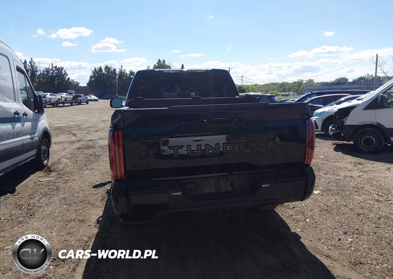 2024 Toyota Tundra Platinum VIN:5TFNA5DB5RX221237 - 17