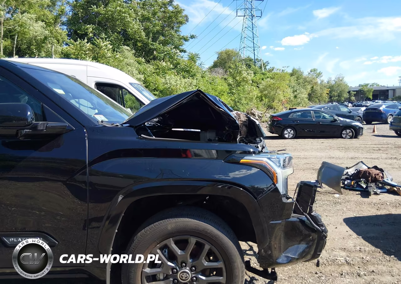 2024 Toyota Tundra Platinum VIN:5TFNA5DB5RX221237 - 21