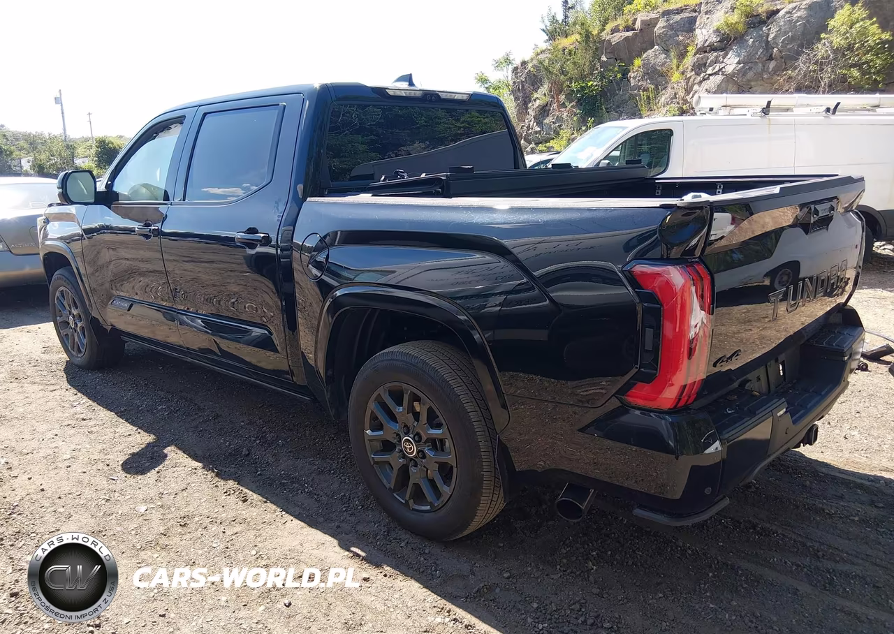 2024 Toyota Tundra Platinum VIN:5TFNA5DB5RX221237 - 3