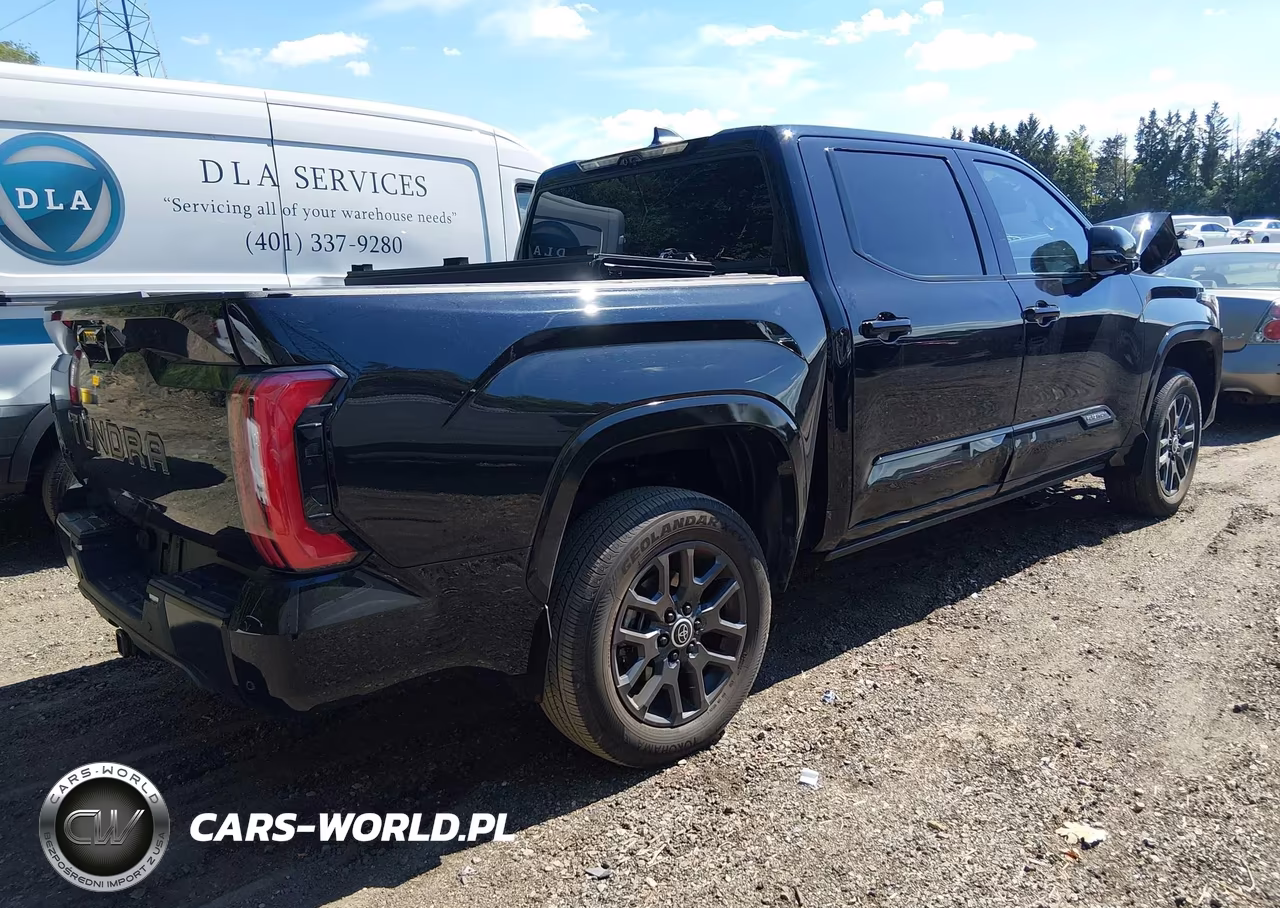 2024 Toyota Tundra Platinum VIN:5TFNA5DB5RX221237 - 4