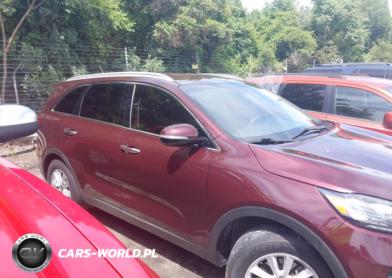 2020 Kia Sorento 2.4L Lx VIN:5XYPG4A30LG682354 - 13