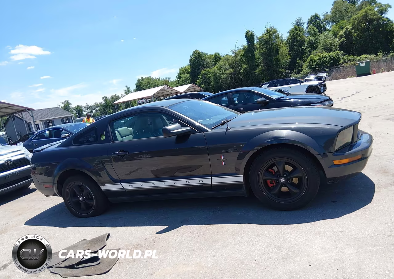 2007 Ford Mustang V6 Deluxe-V6 Premium VIN:1ZVFT80N275359565 - 13