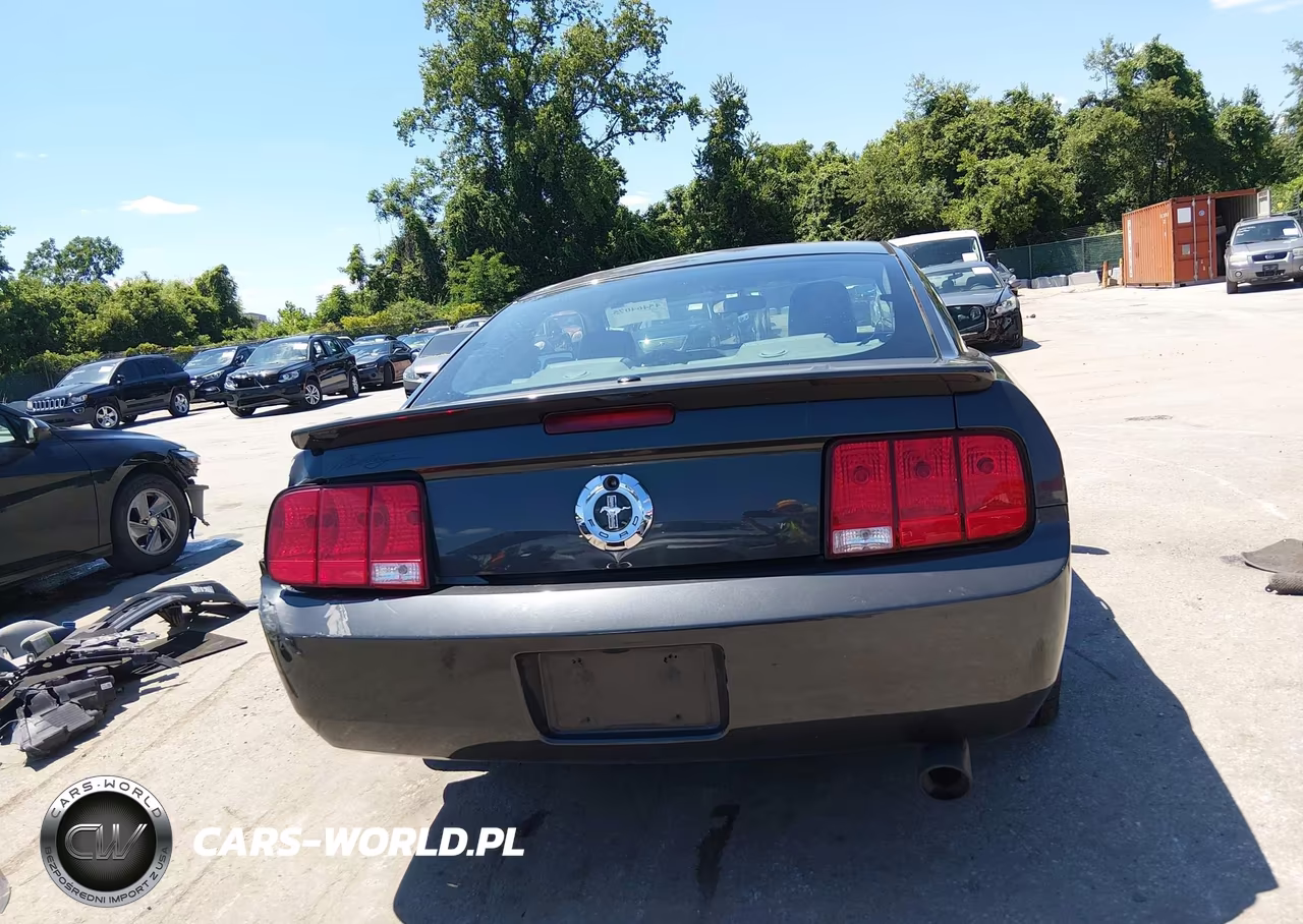 2007 Ford Mustang V6 Deluxe-V6 Premium VIN:1ZVFT80N275359565 - 16