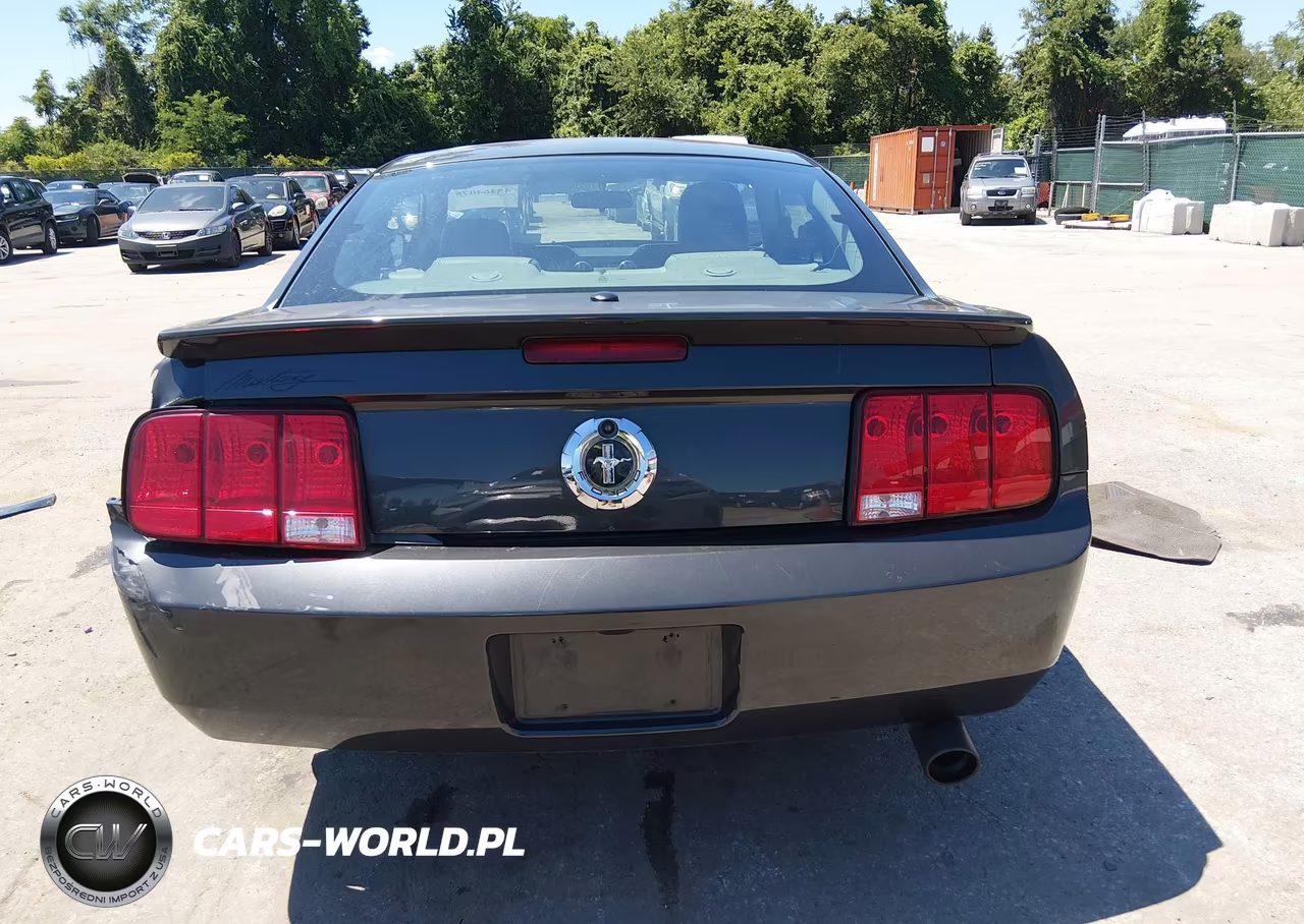 2007 Ford Mustang V6 Deluxe-V6 Premium VIN:1ZVFT80N275359565 - 17
