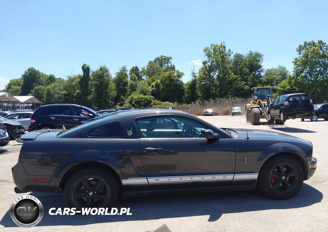 2007 Ford Mustang V6 Deluxe-V6 Premium VIN:1ZVFT80N275359565 - 18