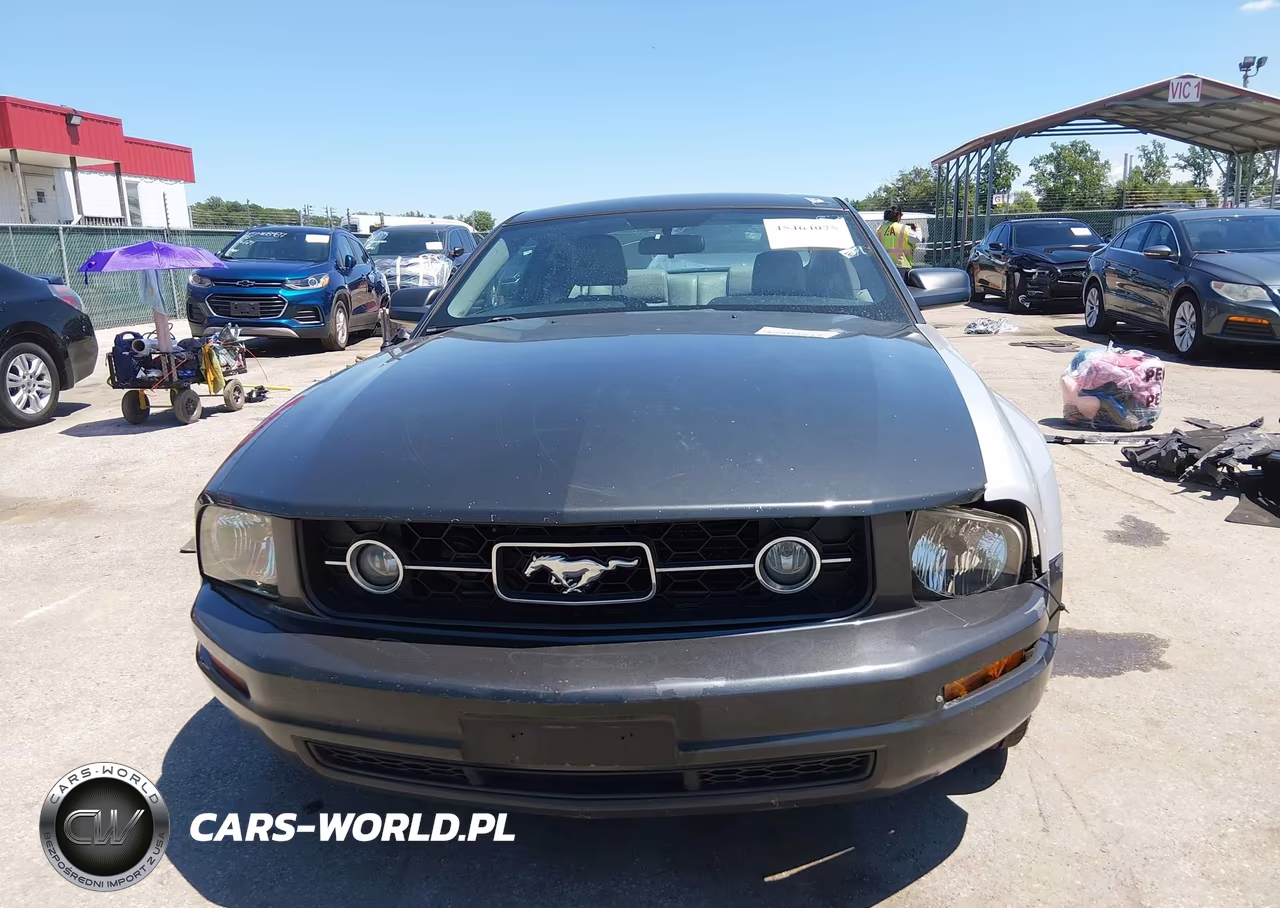 2007 Ford Mustang V6 Deluxe-V6 Premium VIN:1ZVFT80N275359565 - 19