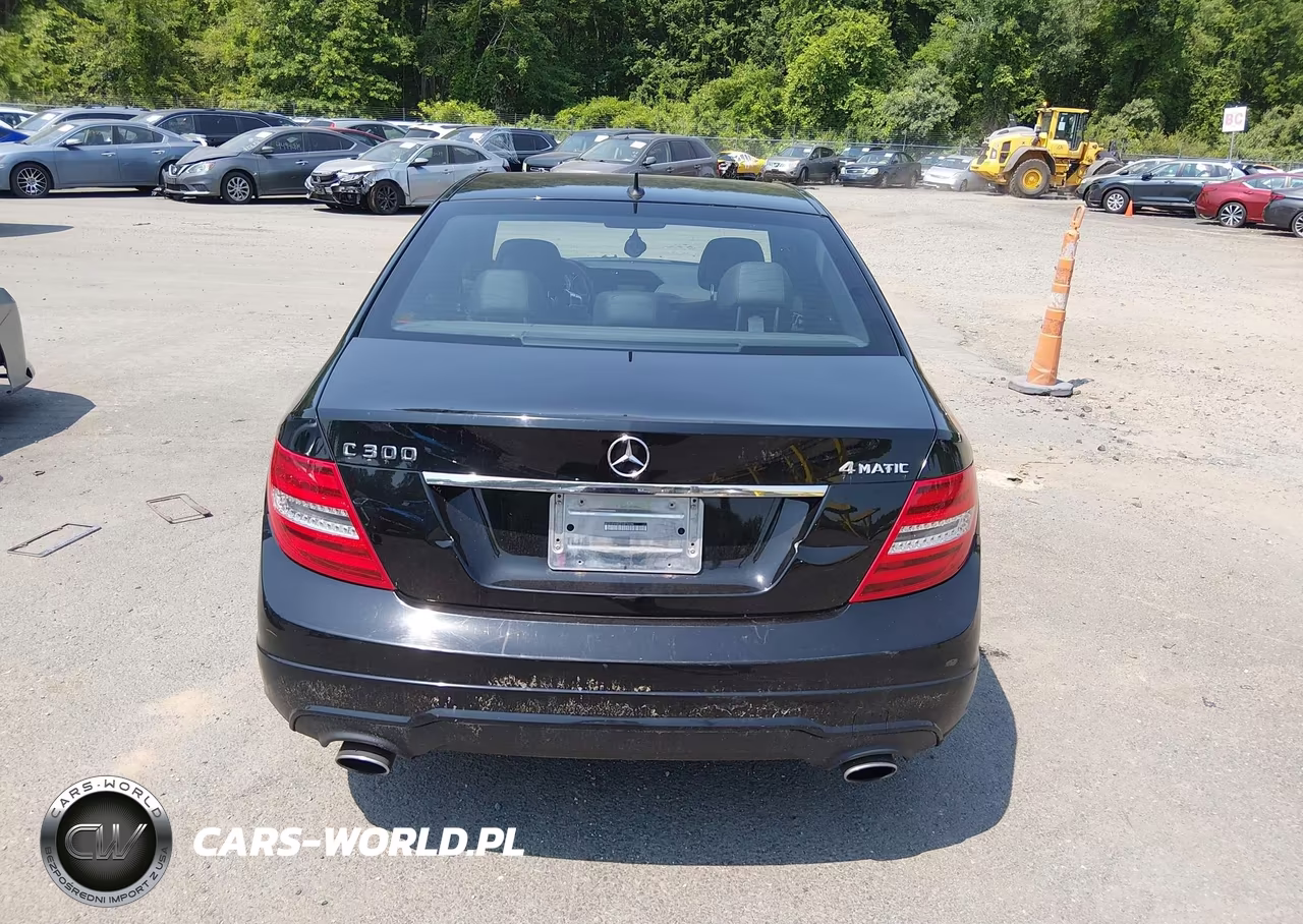 2013 Mercedes-Benz C 300 Sport 4Matic VIN:WDDGF8AB2DA878496 - 17
