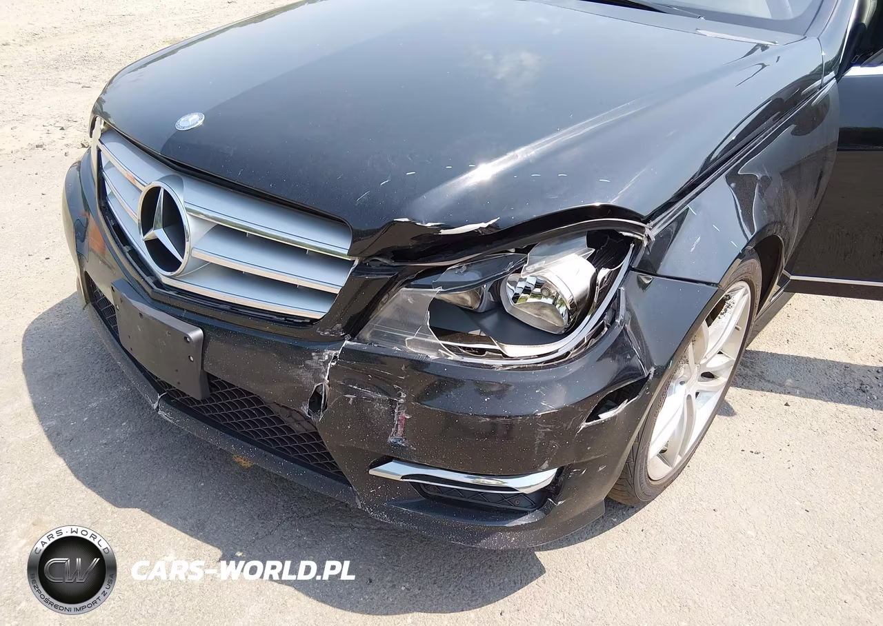 2013 Mercedes-Benz C 300 Sport 4Matic VIN:WDDGF8AB2DA878496 - 6