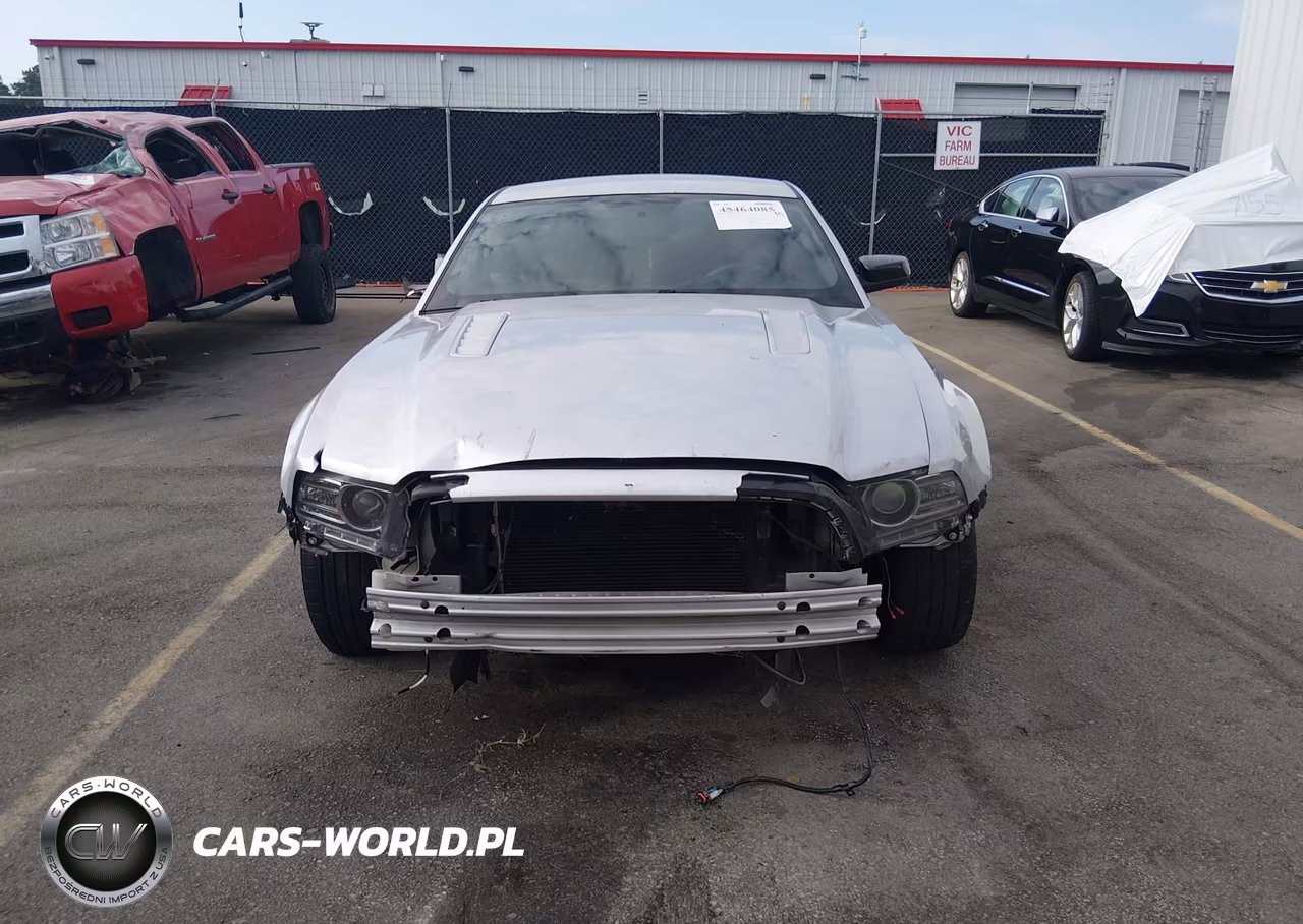 2014 Ford Mustang Gt VIN:1ZVBP8CF9E5209604 - 13
