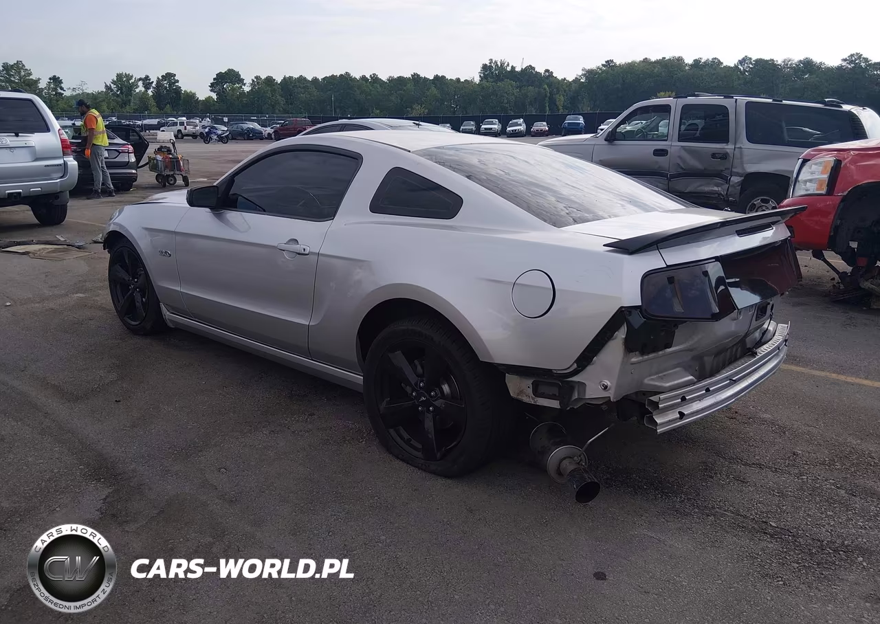 2014 Ford Mustang Gt VIN:1ZVBP8CF9E5209604 - 3