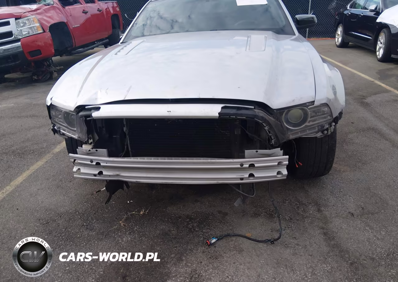 2014 Ford Mustang Gt VIN:1ZVBP8CF9E5209604 - 6