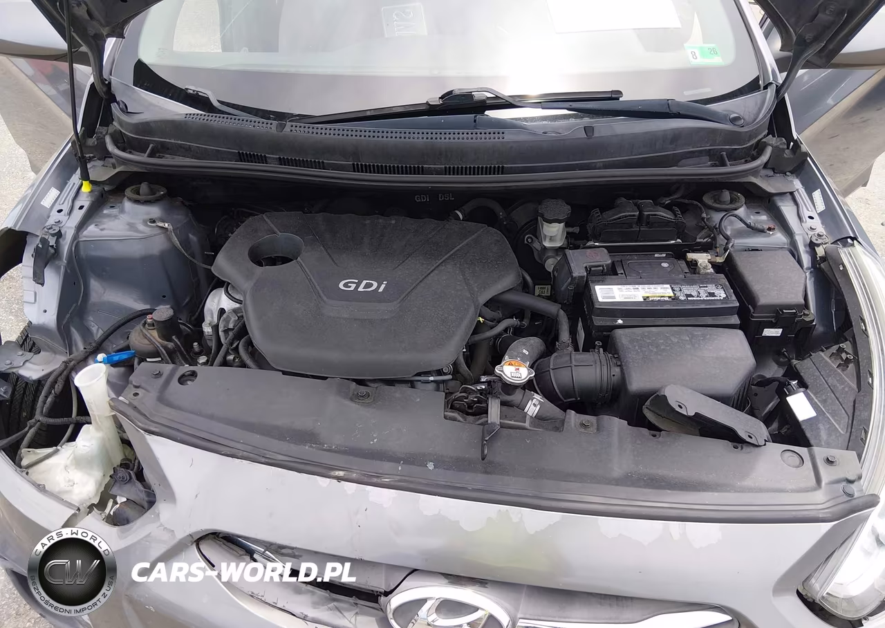 2017 Hyundai Accent Se VIN:KMHCT4AE1HU182278 - 10