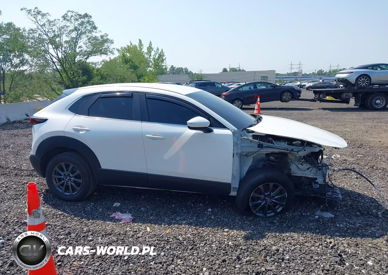 2021 Mazda Cx-30 2.5 S VIN:3MVDMBAL8MM237296 - 13