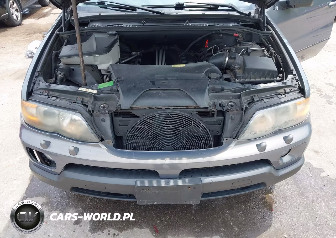 2006 BMW X5 3.0I VIN:5UXFA13506LY45733 - 10