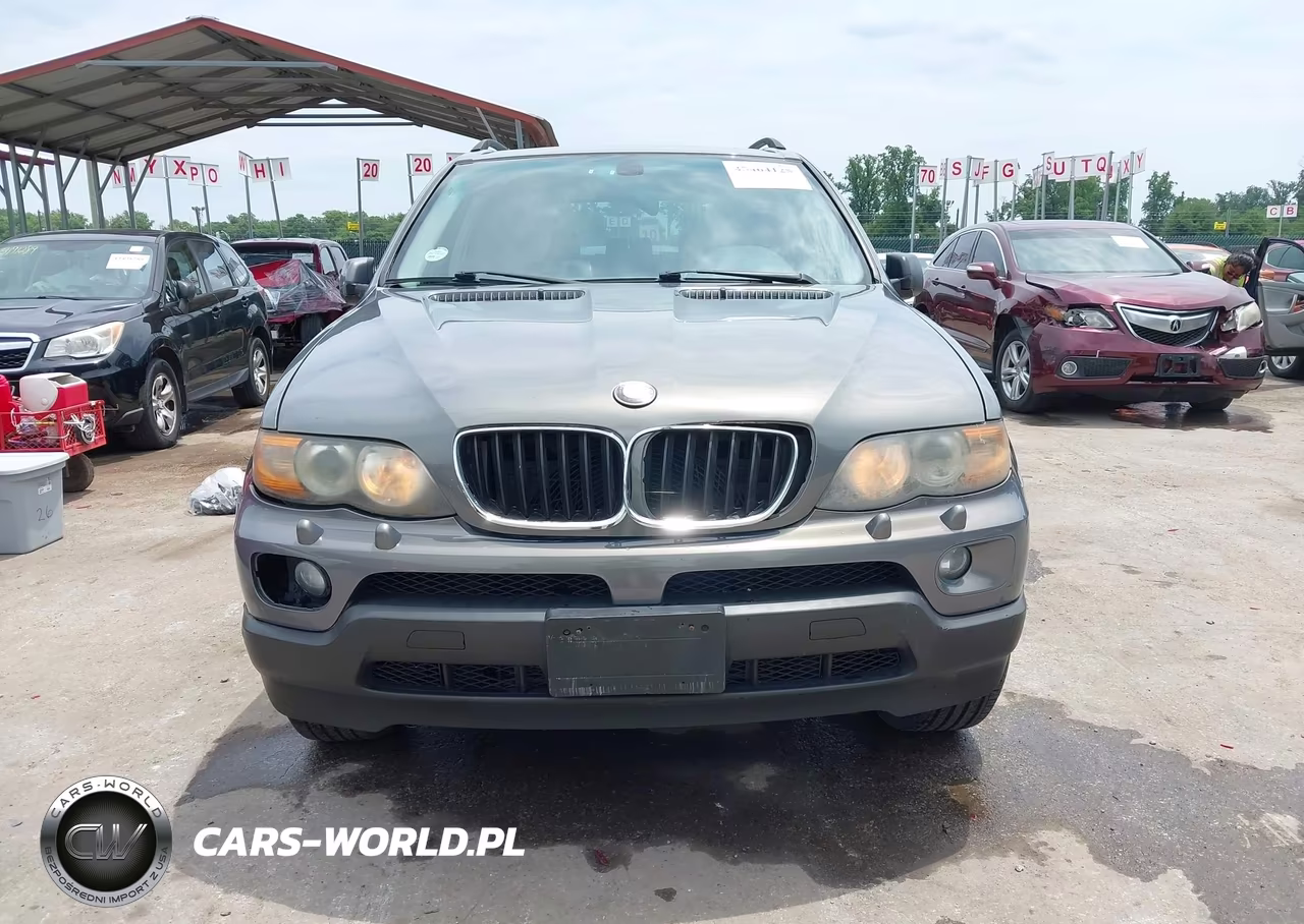 2006 BMW X5 3.0I VIN:5UXFA13506LY45733 - 12