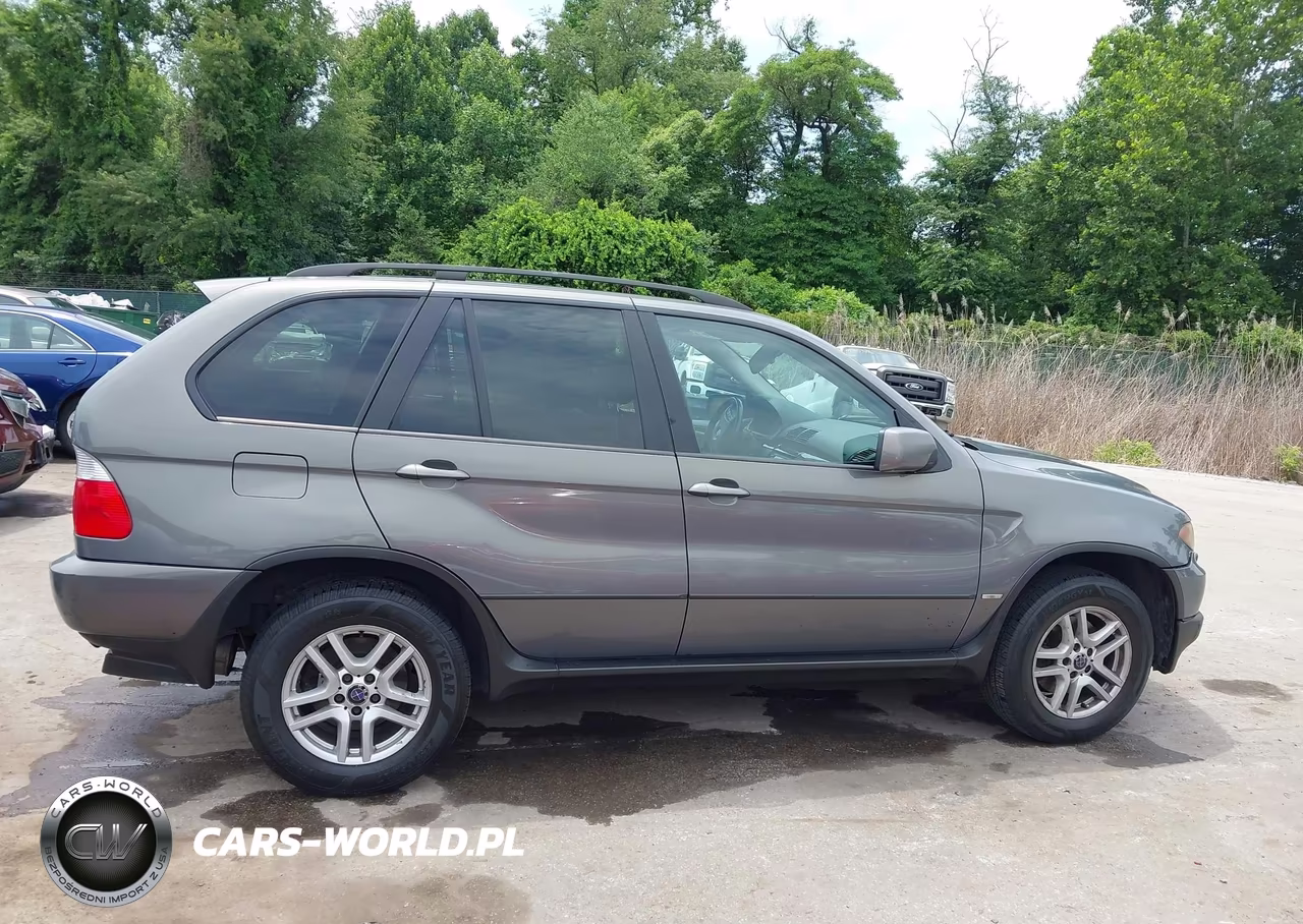 2006 BMW X5 3.0I VIN:5UXFA13506LY45733 - 13