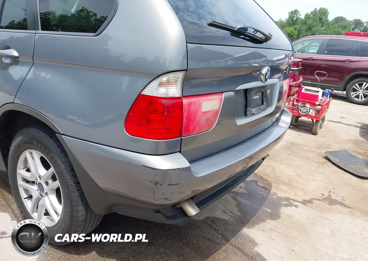 2006 BMW X5 3.0I VIN:5UXFA13506LY45733 - 17
