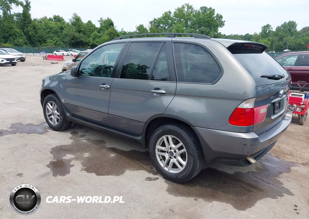 2006 BMW X5 3.0I VIN:5UXFA13506LY45733 - 3