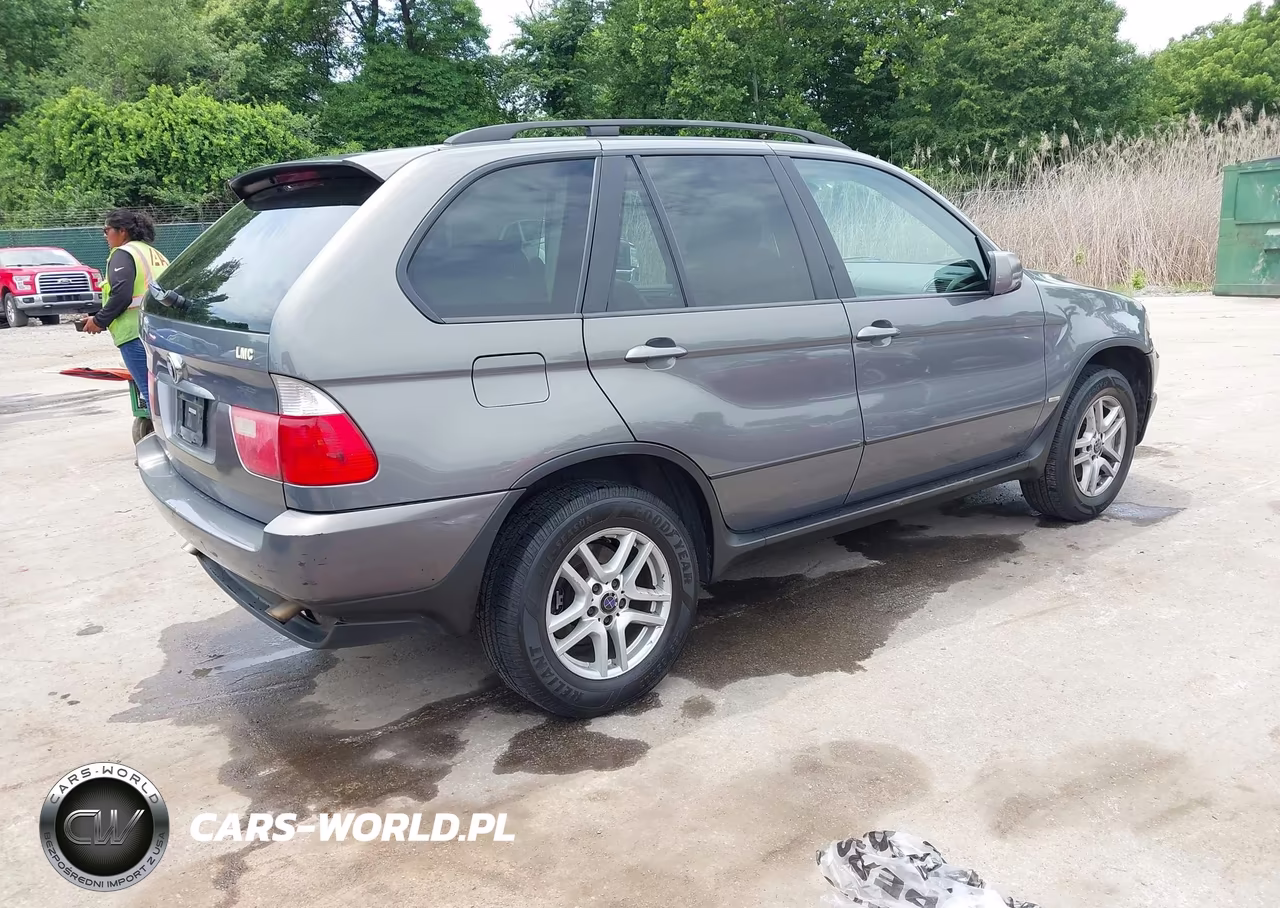 2006 BMW X5 3.0I VIN:5UXFA13506LY45733 - 4