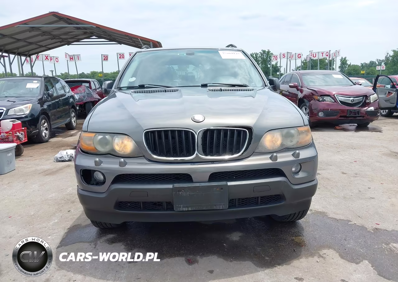 2006 BMW X5 3.0I VIN:5UXFA13506LY45733 - 6