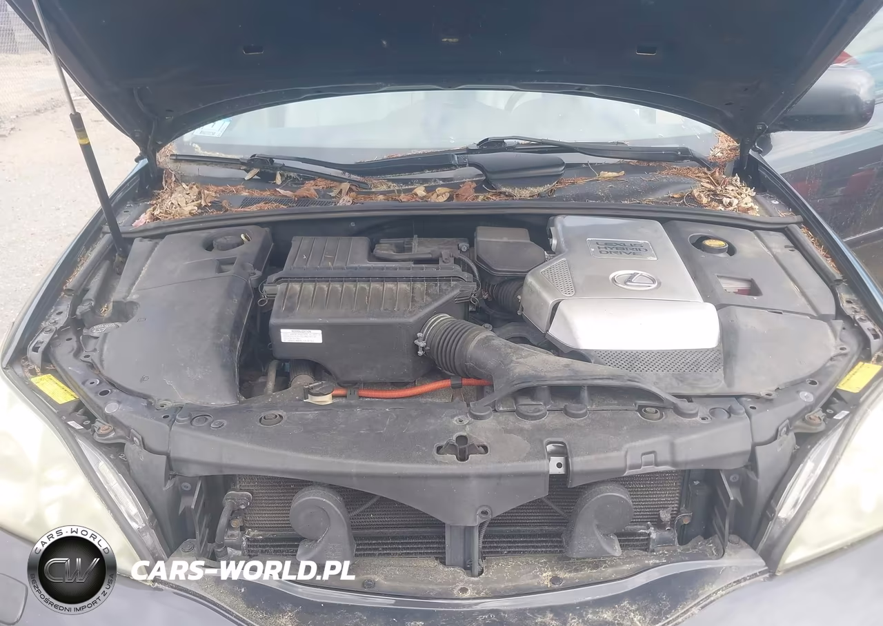 2007 Lexus Rx 400H VIN:JTJHW31U872033960 - 10