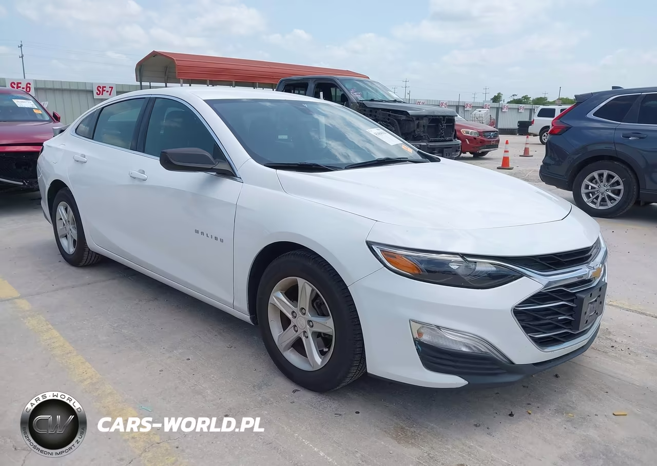 2019 Chevrolet Malibu 1Ls