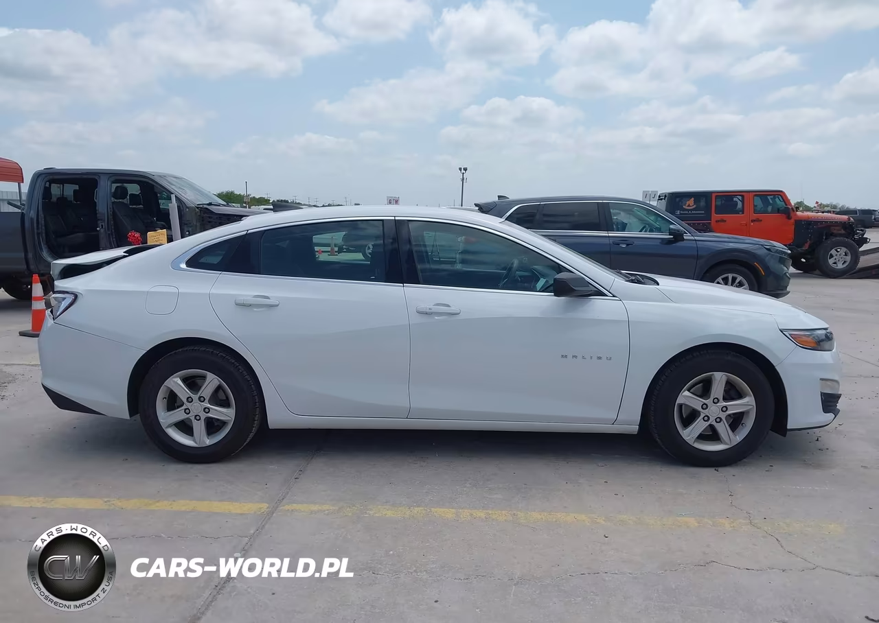 2019 Chevrolet Malibu 1Ls VIN:1G1ZB5ST9KF218811 - 13