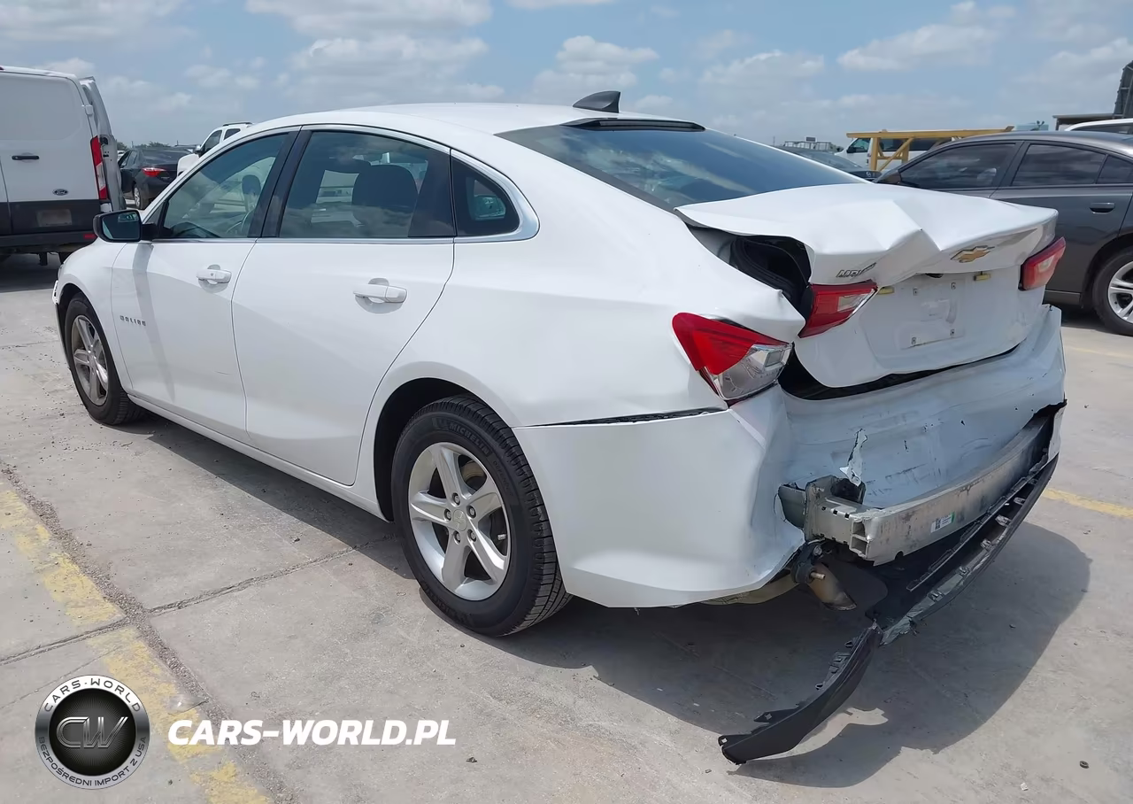 2019 Chevrolet Malibu 1Ls VIN:1G1ZB5ST9KF218811 - 3