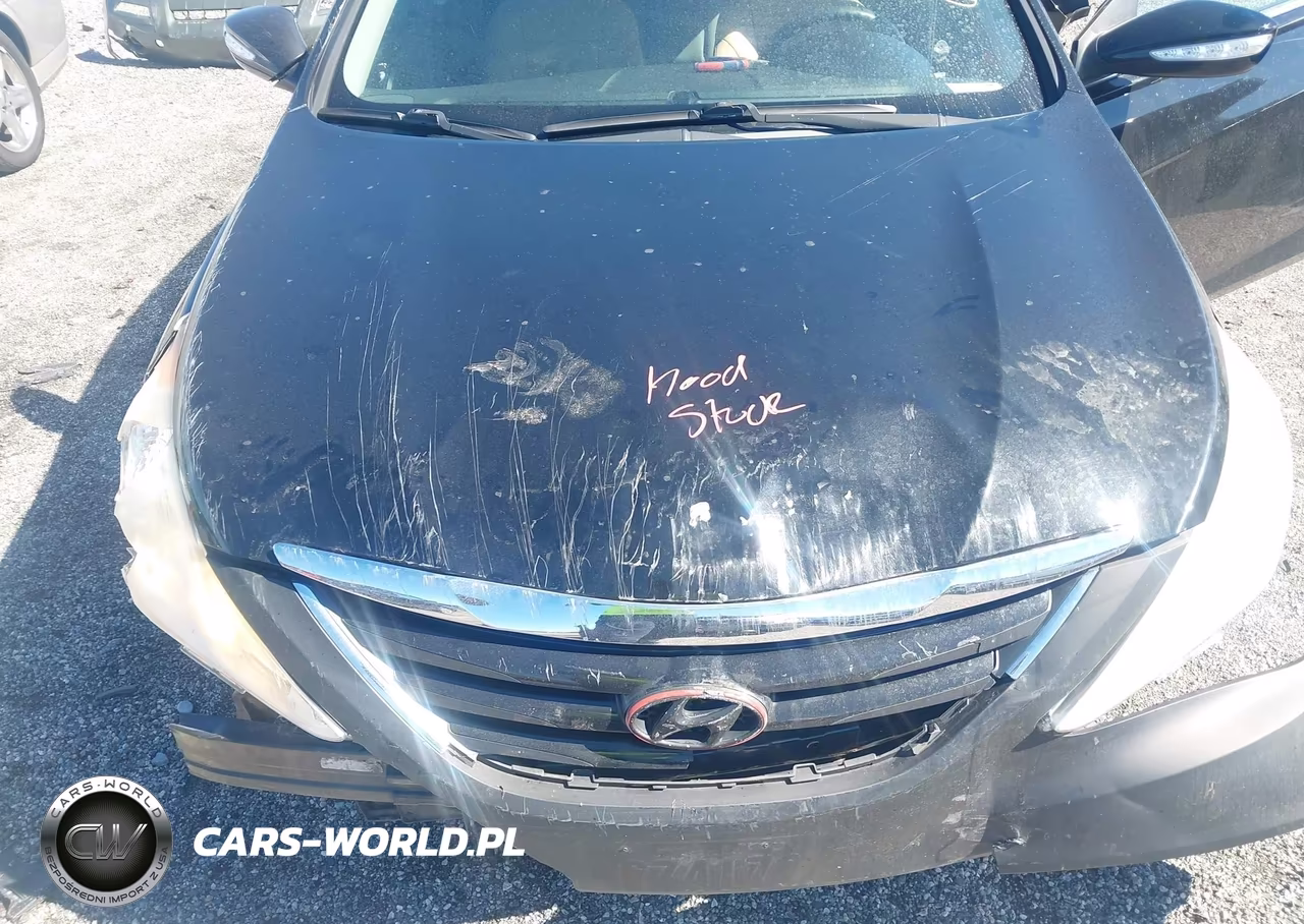2014 Hyundai Sonata Gls VIN:5NPEB4AC4EH820656 - 10