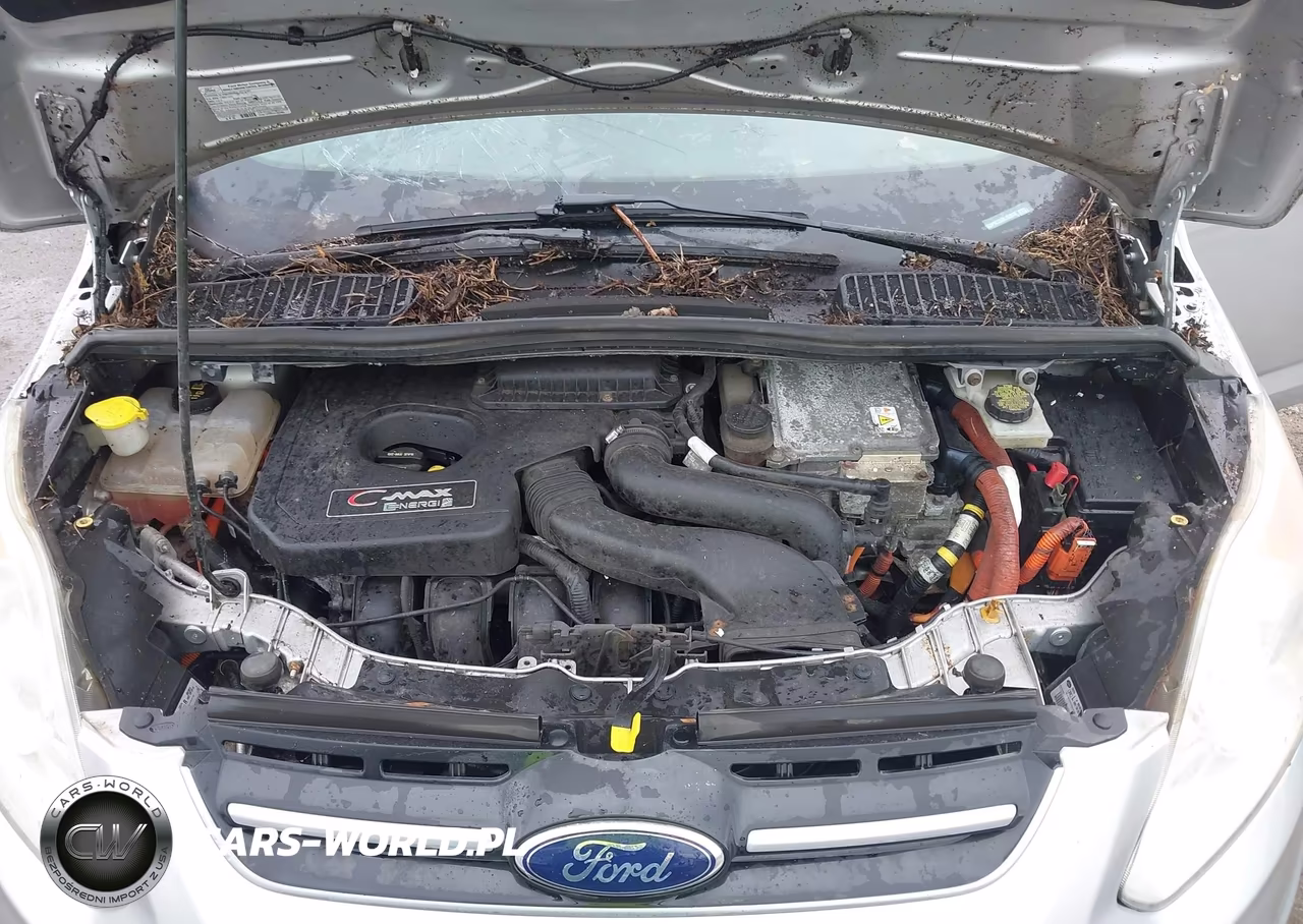 2013 Ford C-Max Energi Sel VIN:1FADP5CUXDL553970 - 10