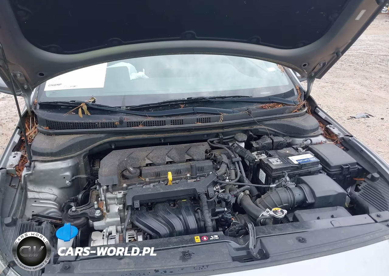 2021 Hyundai Accent Se VIN:3KPC24A61ME139018 - 10